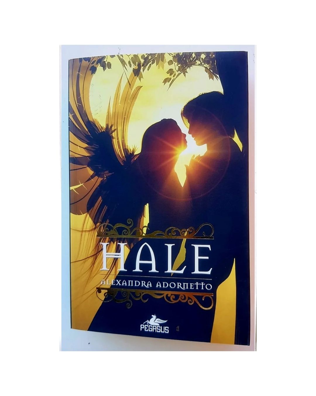 roman19 Hale - Görsel 1