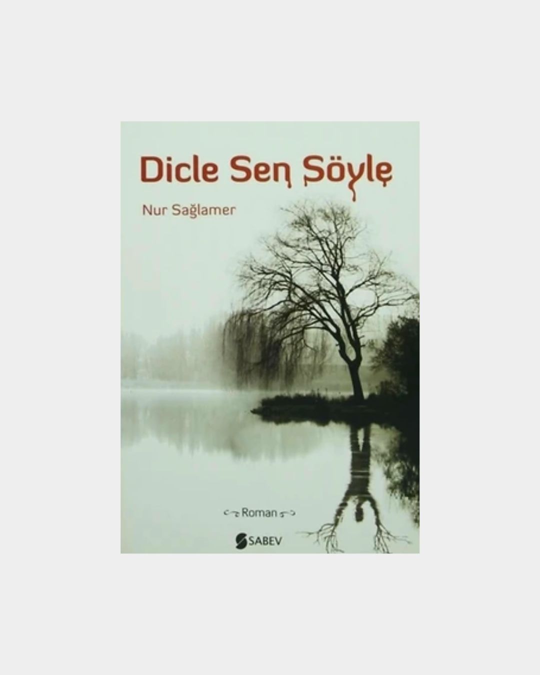 277e454d-0c15-4422-ad18-5f12db8dd30e Dicle Sen Söyle - Görsel 1