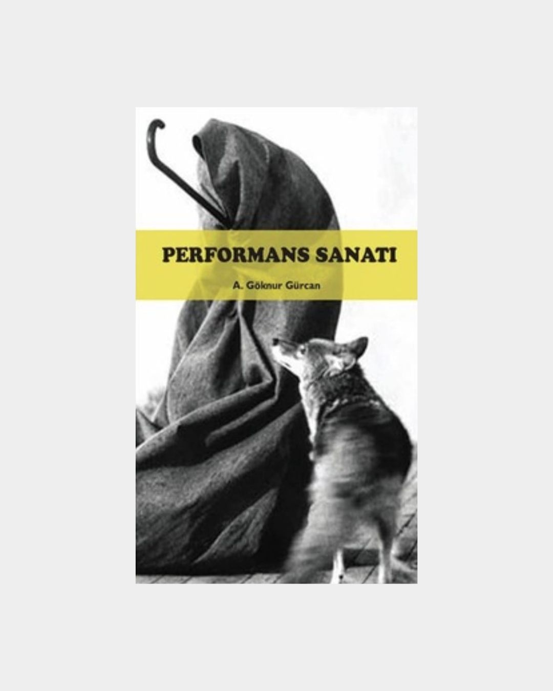 Performans Sanatı
