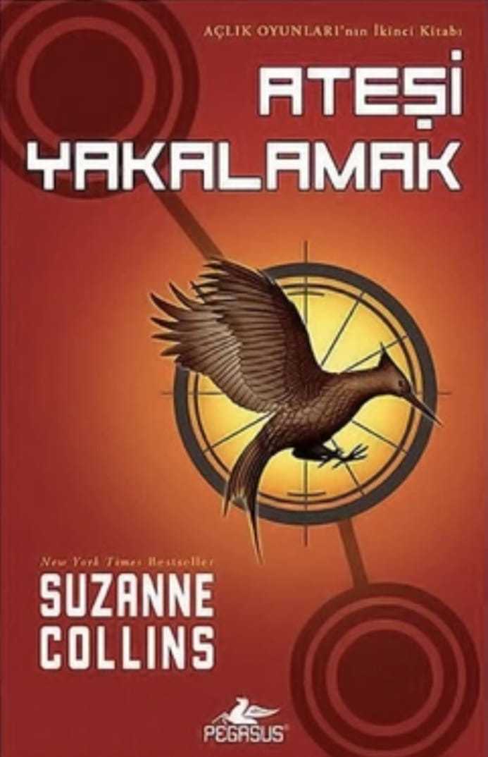 62aa1571-ca2f-48b8-84b8-a6ef03398068 Ateşi Yakalamak - Görsel 1