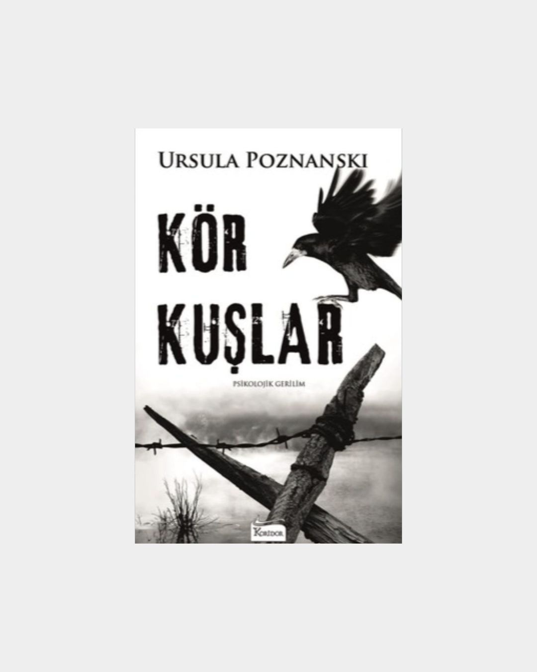 Kör Kuşlar