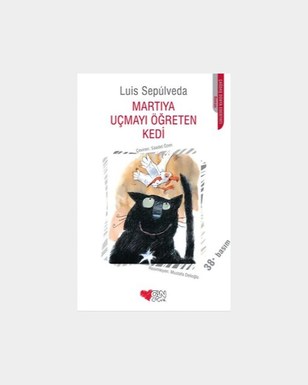 Martıya Uçmayı Öğreten Kedi