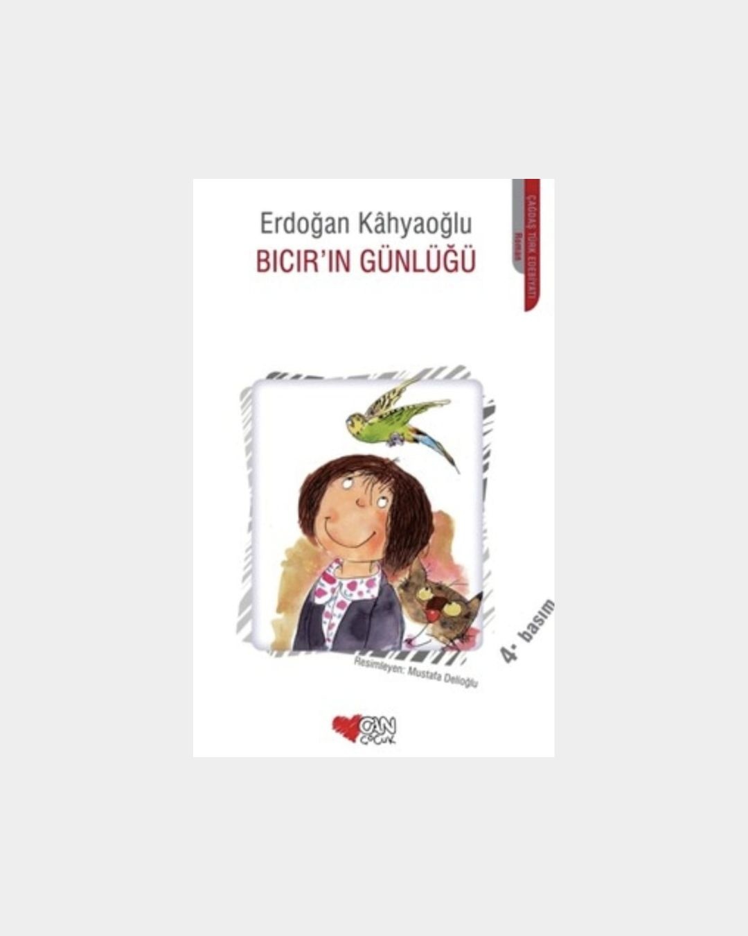 Bıcır'ın Günlüğü