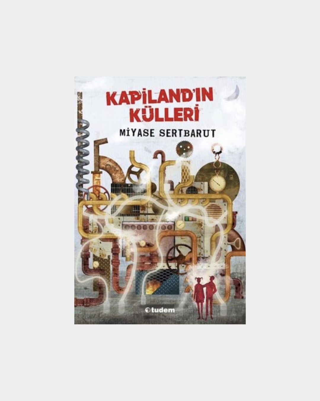 eeabad76-7dd7-4e8b-ba78-f26c016153cc Kapiland'ın Külleri - Görsel 1