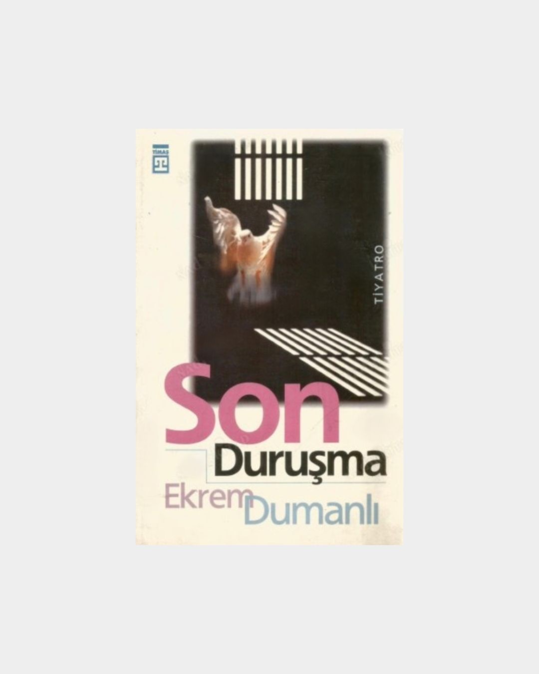 Son Duruşma