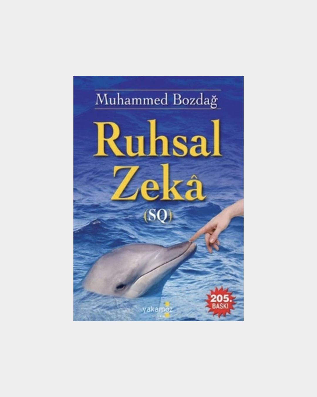 Ruhsal Zeka