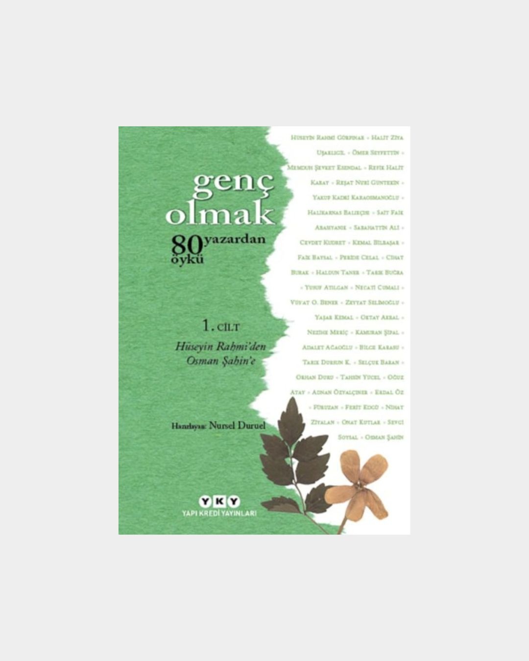 Genç Olmak - 80 Yazardan Öykü
