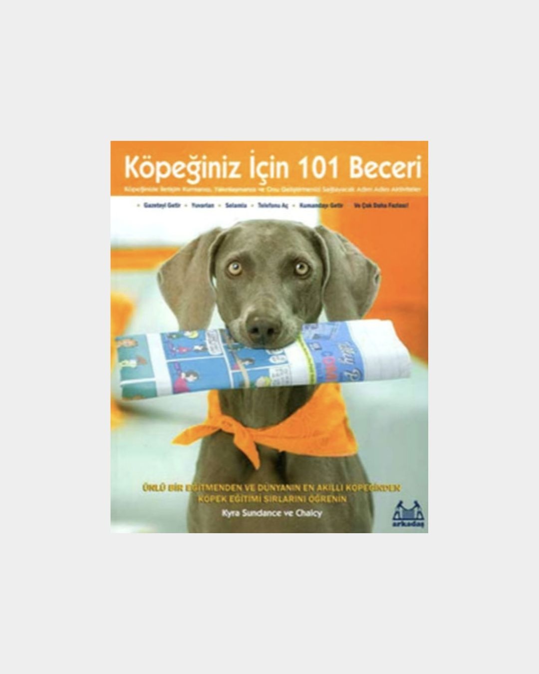 Köpeğiniz İçin 101 Beceri