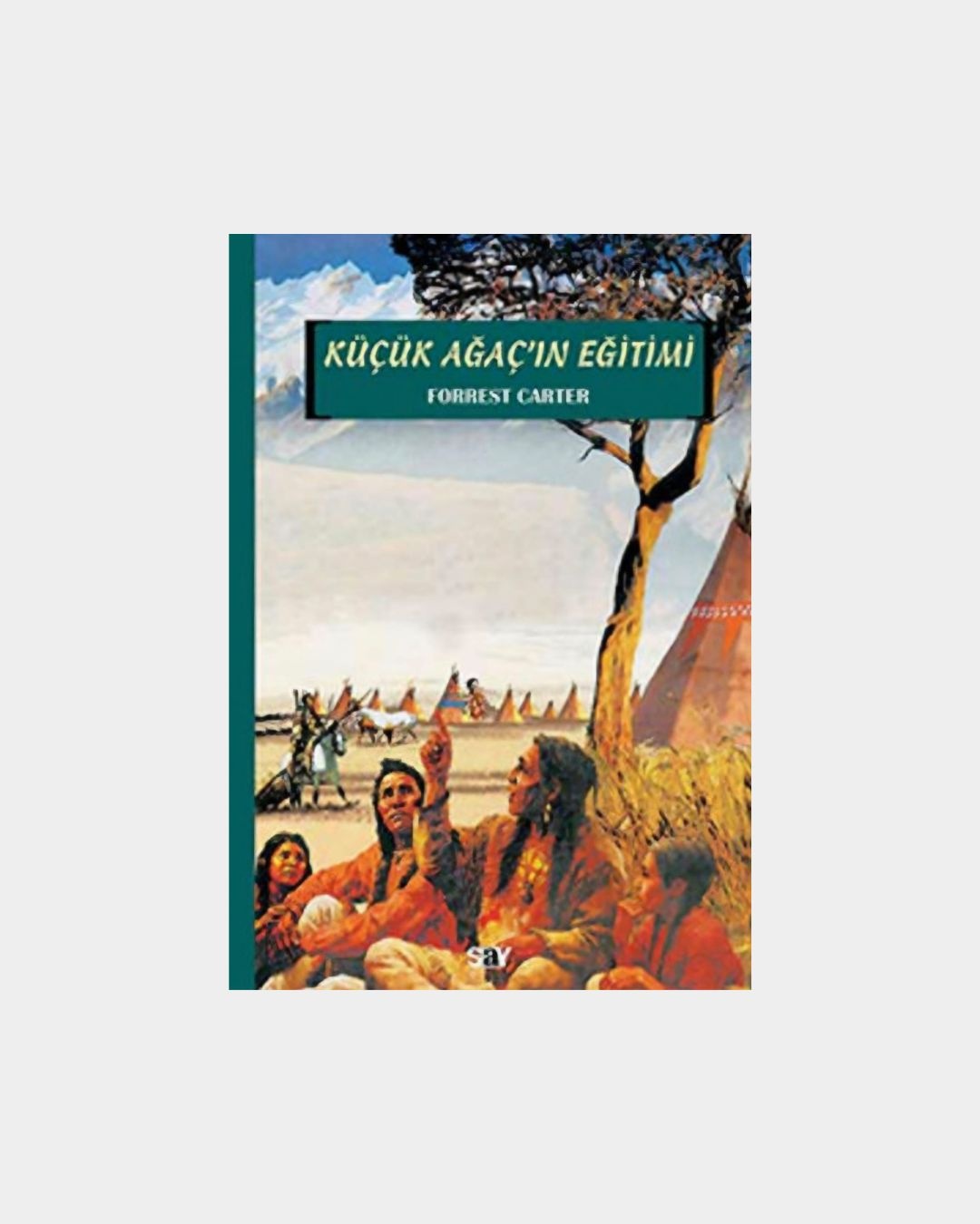 Küçük Ağaç'ın Eğitimi