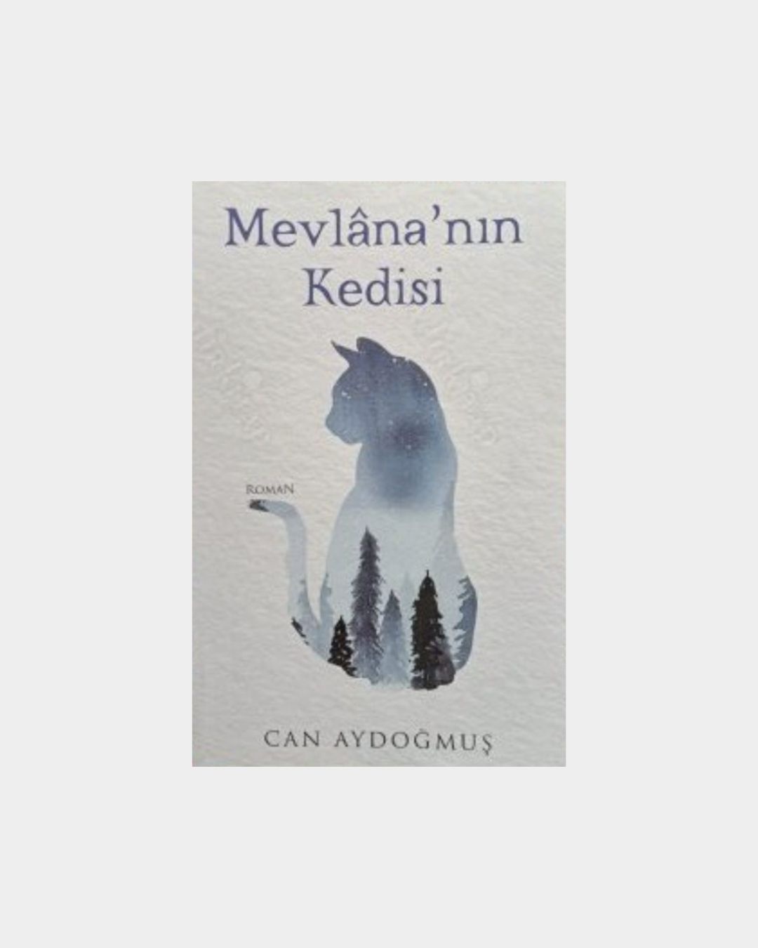 Mevlana'nın Kedisi