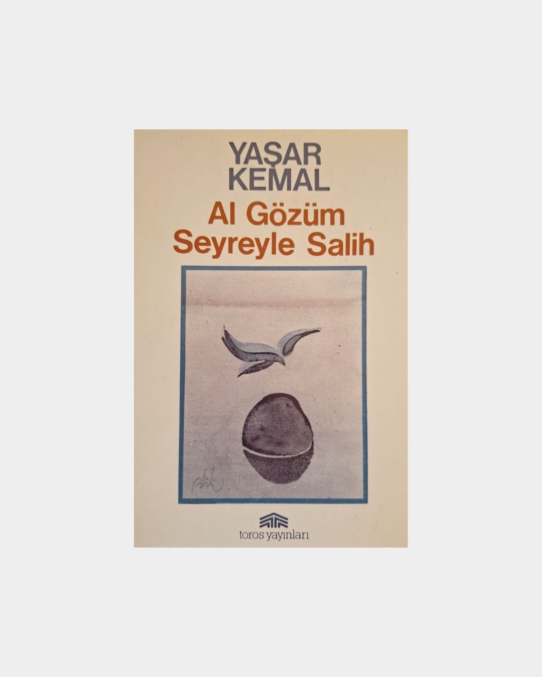 Al Gözüm Seyreyle Salih (1993 Basımı)