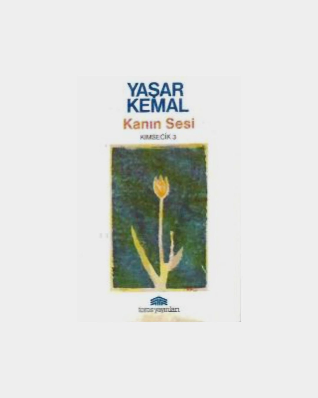 e9b1efa8-bd20-4cba-bca0-997e865058d4 Kanın Sesi - Kimsecik 3 (1993 Basımı) - Görsel 1