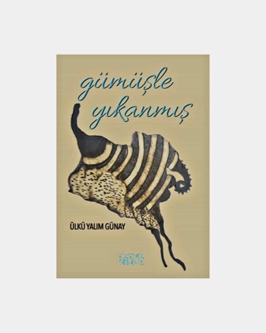 Gümüşle Yıkanmış