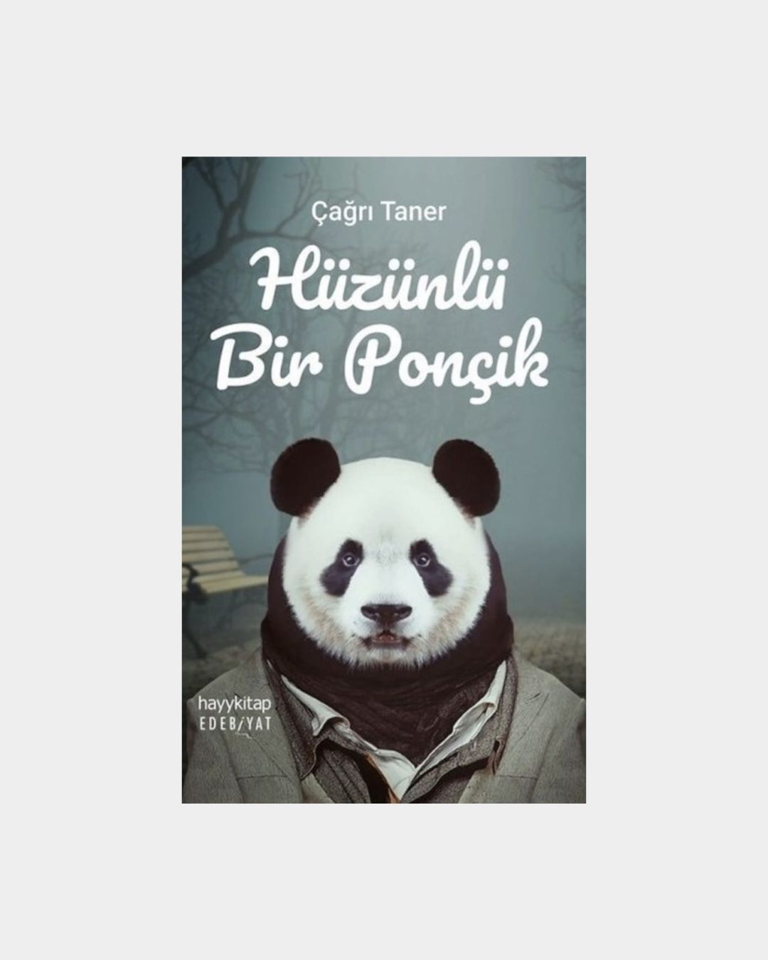 Hüzünlü Bir Ponçik