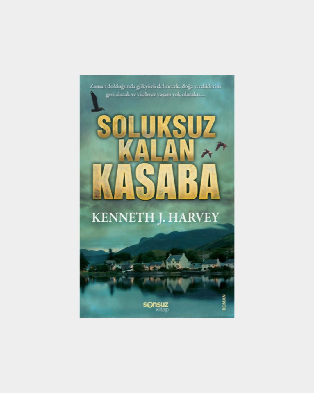 Soluksuz Kalan Kasaba