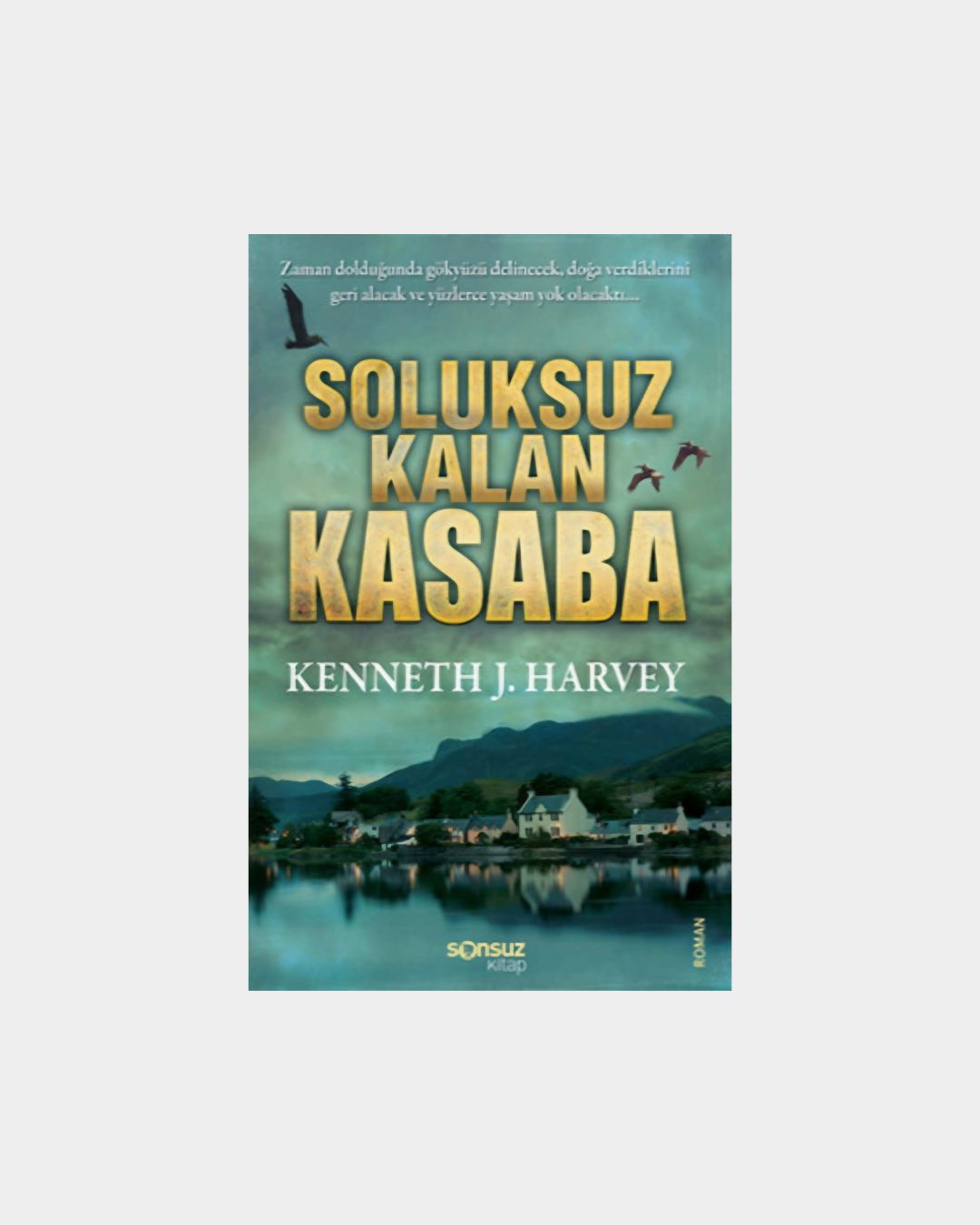 a53e2313-d9ce-427b-800f-59fc63271cb8 Soluksuz Kalan Kasaba - Görsel 1