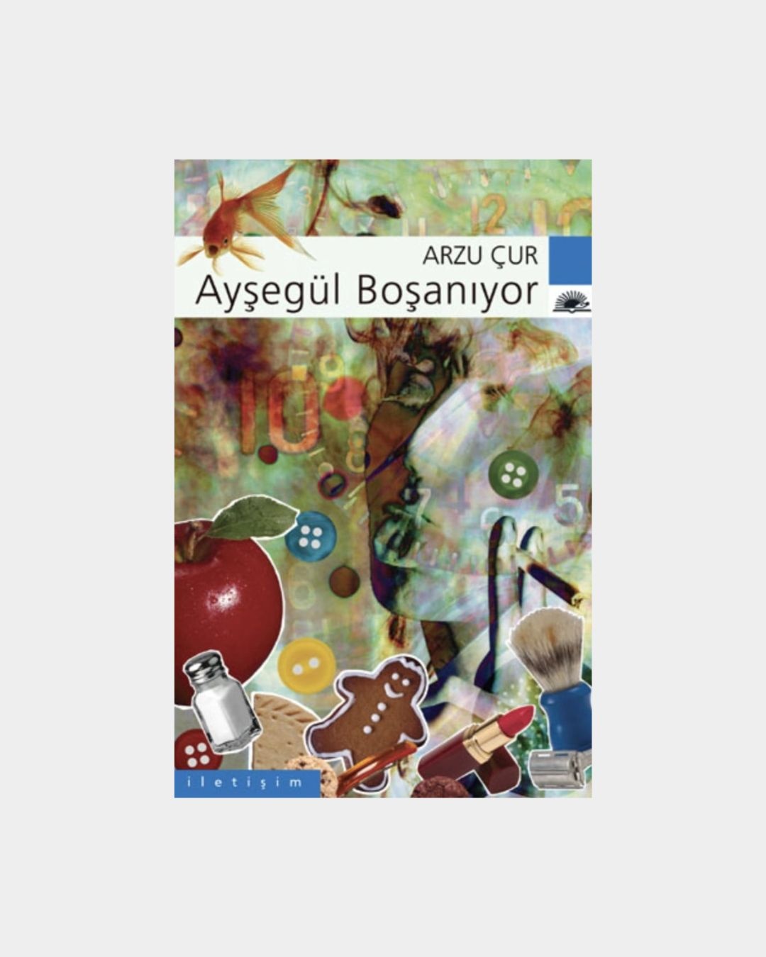 Ayşegül Boşanıyor