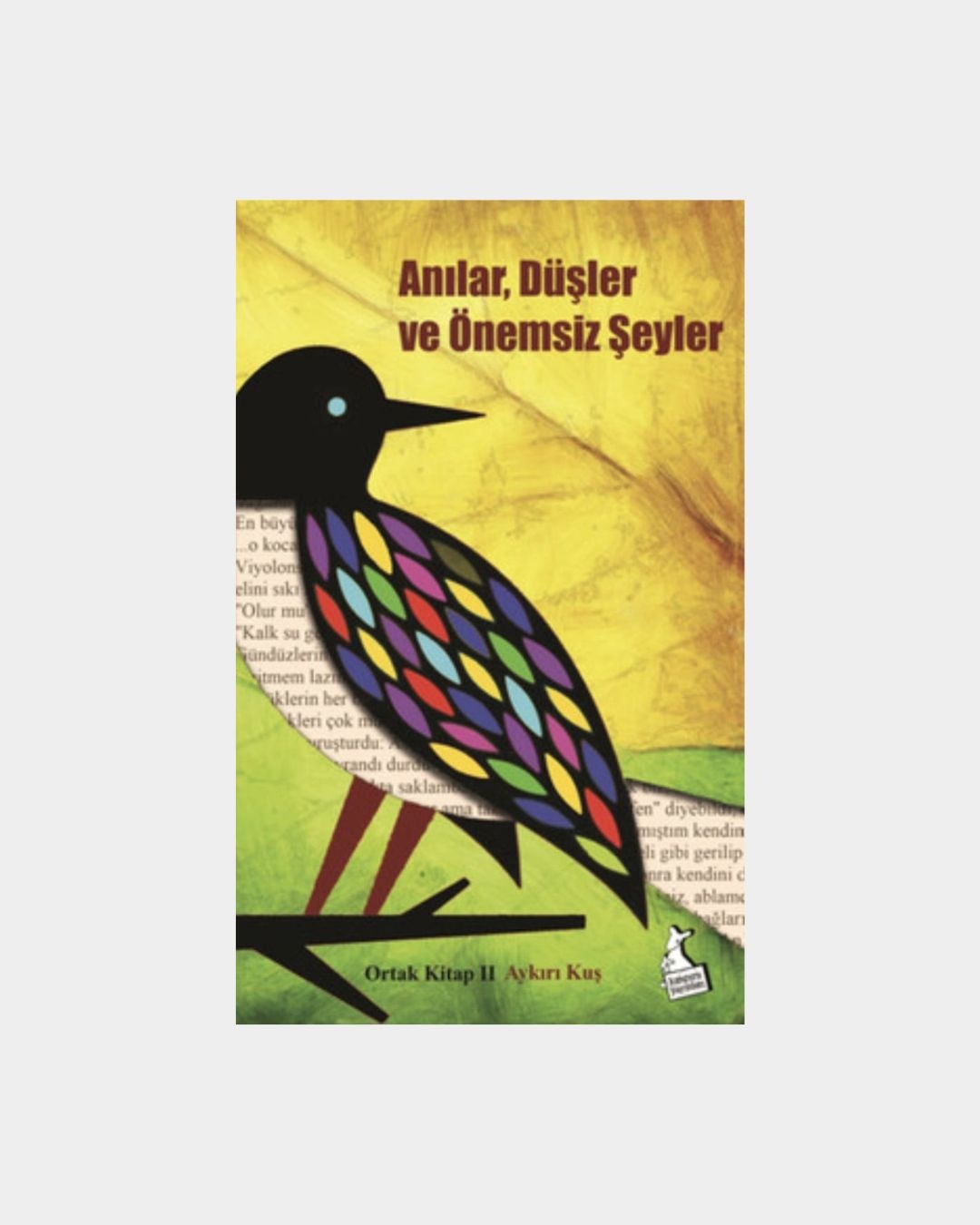 Anılar Düşler Ve Önemsiz Şeyler