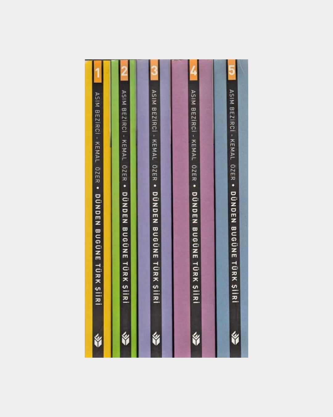 Dünden Bugüne Türk Şiiri (5 Adetlik Set)
