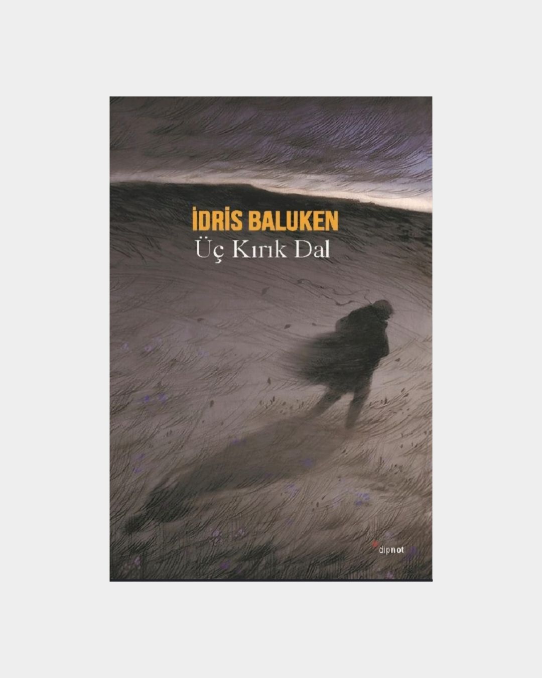 Üç Kırık Dal