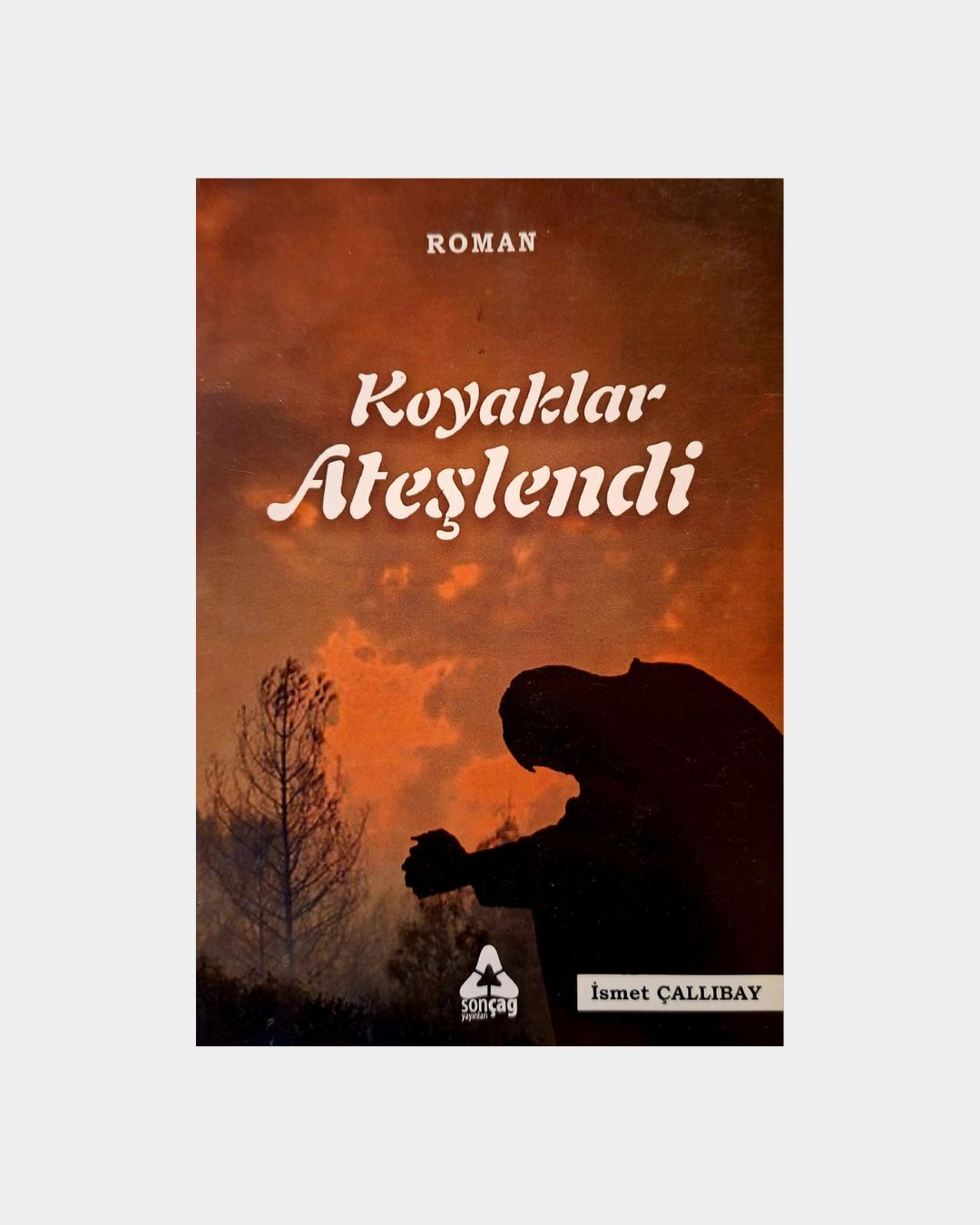 f7aed571-d21c-49f4-a6a5-4ea2fc2a6dff Koyaklar Ateşlendi - Görsel 1