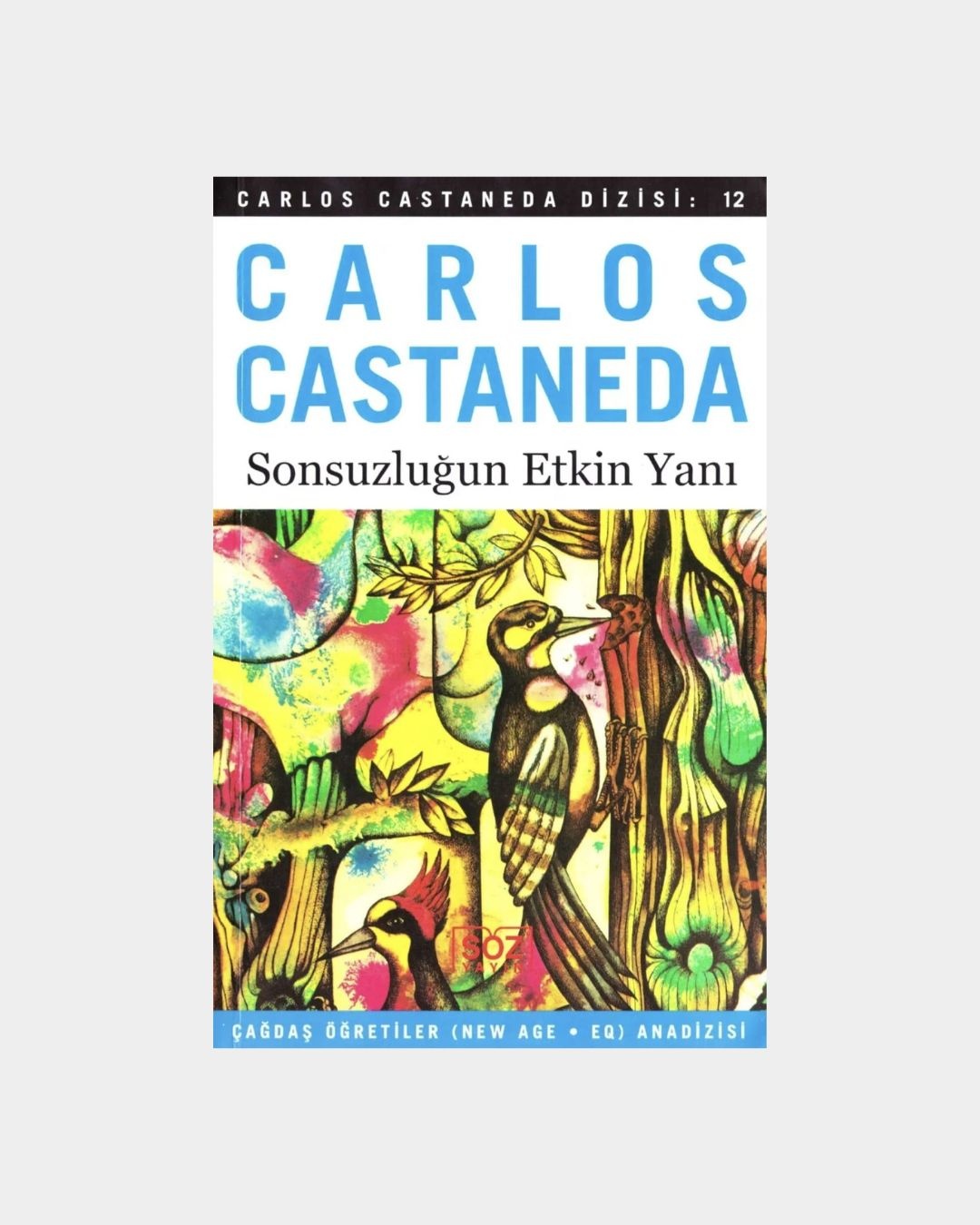 Sonsuzluğun Etkin Yanı