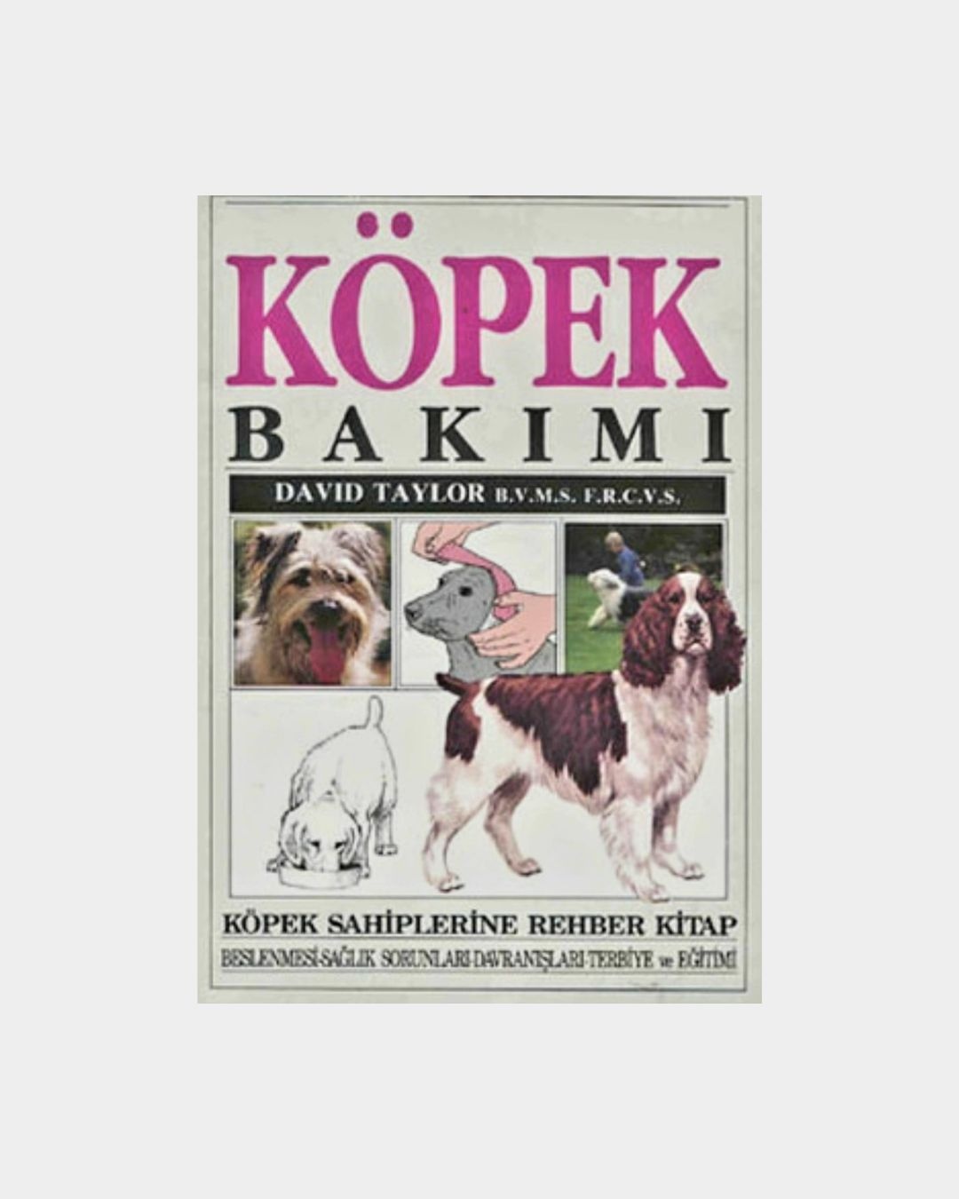 df0e449d-9fdf-45ad-aedc-01f983ff9920 Köpek Bakımı - Görsel 1